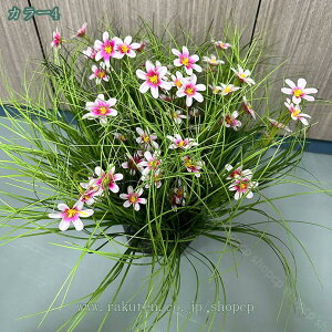 1000~OFFN[| lHppX A 45*45cm tFCNA   lHA& A ϗtA  1pbN ubN|bgt tFCNA  Q ItBX t@[nEX 