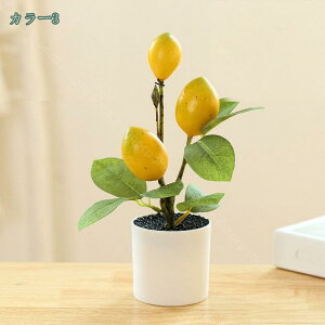 300~OFFN[| lHϗtAA ~j L sv CeAO[ Mtg    fXN̑ tFCNO[ CeA  O tFCNA lH