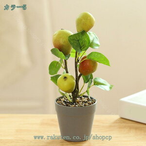 300~OFFN[| lHϗtAA ~j L sv CeAO[ Mtg    fXN̑ k̃CeA gݍ킹 Vv k  h