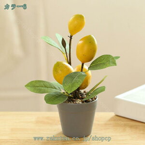 777~OFFN[| lHϗtAA ~j L sv CeAO[ Mtg    fXN̑ k̃CeA gݍ킹 Vv k  h