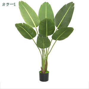 800~OFFN[| ^ϗtA lHϗtA l  A CeAO[ ϗt l ^ A Aؔ ͗lւ z ݑΖ 130cm [gc wi lA l 
