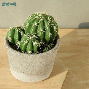 777~OFFN[| tFCNvg tFCNvg lHA tFCNT{e O[vg lHI[ig ItBXp |bgɓV~[VA Vzj Mt