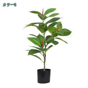 1000~OFFN[| tFCNO[ CeAO[ lH ϗtA t  CeA ₷ sv Q쏜sv  ƒ ItBX  j Mtg 