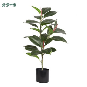 1000~OFFN[| tFCNO[ CeAO[ lH ϗtA t  CeA ₷ sv Q쏜sv  ƒ ItBX  j Mtg 