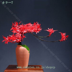 777~OFFN[| ~ lHϗtA ^  ϗt  lH sv ͂Ȃ CeA 蕨   i ƉOtFCNO[ ^lHc[~͑i  