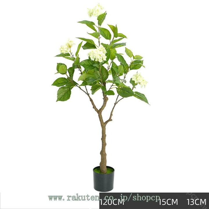 楽天市場】2000円OFFクーポン 人工観葉植物 フェイクグリーン パキラ 