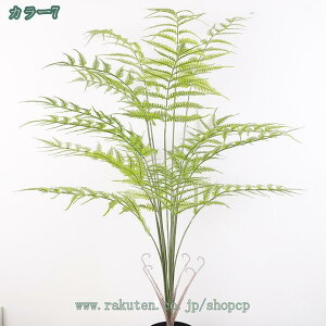 1000~OFFN[| U̐A tFCNA lH̗΂̐A ~ U̗΂̐A A  rO[ X̊ꂽZ~bN Aؔ ItBX Q̑ lHϗtA ~ tFCNO