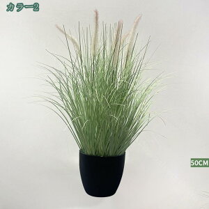 1000~OFFN[| lHppX A 50cm tFCNA   lHA& A ϗtA  1pbN ubN|bgt tFCNA  Q ItBX t@[nEX e