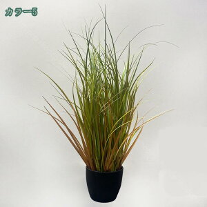 777~OFFN[| lHppX A 50cm tFCNA   lHA& A ϗtA  1pbN ubN|bgt tFCNA  Q ItBX t@[nEX e