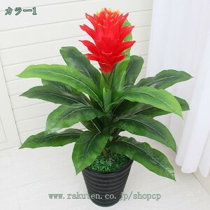 1000~OFFN[| tFCNA tFCNA gsA[ tFCNȂ t CeA A JXj zj Mtg ̓ ̓ hV̓ v[g 蕨  Ε 