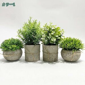 lHϗtA 4_Zbg  A G} tFCNO[ CeA  O[ fR[V ͂Ȃ  {   sv bsv  Vzj 