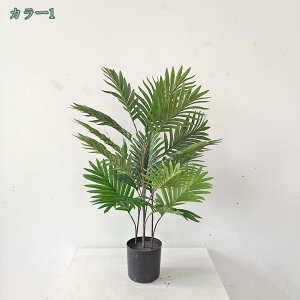 1000~OFFN[| tFCNO[ ϗA lHϗt ϗtA 180 cm  Vv ItBX  CeA ^   lH j ̓ lHϗtA  hZi c