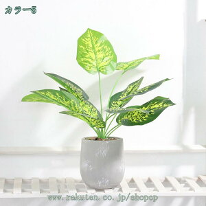 1000~OFFN[| lHϗtA  A G} tFCNO[ CeA  O[ fR[V ͂Ȃ  {   sv bsv  Vzj