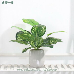 lHϗtA  A G} tFCNO[ CeA  O[ fR[V ͂Ȃ  {   sv bsv  Vzj ̓ ̓