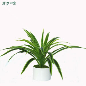 CeAO[  ϗtA [J GAvc t@VFCv O[ lHϗtA tFCNO[ tFCNt[ A  lHA CeA  b炸 