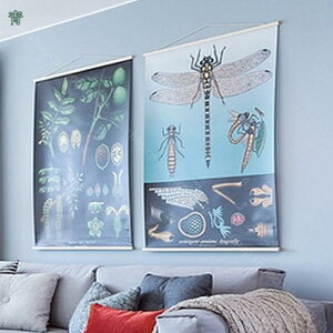 1000~OFFN[| ǎV[ DIY 3m V[ ͂ ̂ ǎ \ւ CŊȒP ǎ ̏ォ\ǎ  h n ͂ǎ ǎ ̂t C