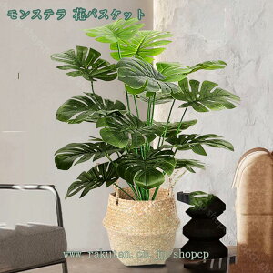 777~OFFN[| Xe lHϗtA ^ lHV̗t Xe tFCNϗtA ȒPb炸 sv A ItBX  tFCNO[  CeA O[ 