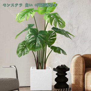 3500~OFFN[| lHϗtA 傫 ^ V~[V Op p[eBV z[ ItBX x_ K[f ډB Ԏd؂ d؂ yɎd؂ K[fjO lH