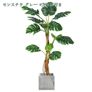 tFCNO[ lHϗtA ϗtA tFCN Xe     rO  Vv ItBX lHϗt rO̊ϗtA ɒuA ̊ϗtA 