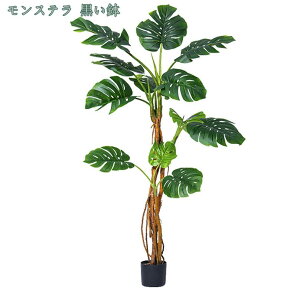 lHϗtA  Op Xe tFCJ K[f ϗtA ItBX tFCNO[  Vv k 킢AEghA  ϗtA  lHϗtA tFCNO[ 