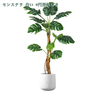 1000~OFFN[| tFCNO[ lHϗtA ϗtA tFCN Xe     rO  Vv ItBX lHϗt rO̊ϗtA ɒuA 