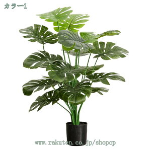 1000�~OFF�N�[�|�� �t�F�C�N�O���[�� ��^ ������� �l�H�ϗt�A�� �i�`������ ���A�� �����X�e�� ���j�� �V�z�j�� �J�X�j�� �J�Əj�� �a���� �C�x���g �f�B�X�v���C �{�^�j�J�� ���� ���r���O 