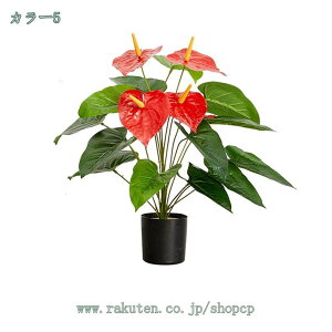 500~OFFN[| tFCNO[ ^ lHϗtA A ϗtA CeA ϗtA tFCNO[ lHϗtA CeA lHϗtA tFCNt j v[g Mtg 