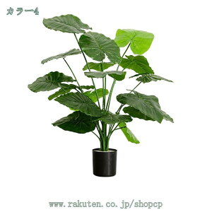 500~OFFN[| tFCNO[ ^ lHϗtA A ϗtA CeA ϗtA tFCNO[ lHϗtA CeA lHϗtA tFCNt j v[g Mtg 