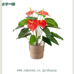 tFCNO[ ϗA lHϗt ϗtAtFCN ^ lHϗtA tFCNO[ ^ p  Vv ItBX  CeA ^ t  ϗtA Vzj