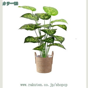 777~OFFN[| tFCNO[ ^  lHϗtA tFCNXe i` A  ItBX  뉀 ؒ j Vz JX JƏj a Cxg fBXv