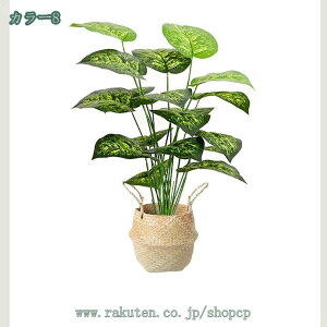 500~OFFN[| tFCNO[ ϗA lHϗt ϗtAtFCN ^ lHϗtA tFCNO[ ^ p  Vv ItBX  CeA ^ t  