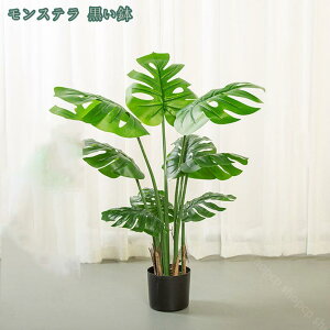 777~OFFN[| Xe lHϗtA ^ lHV̗t Xe tFCNϗtA ȒPb炸 sv A ItBX  tFCNO[  CeA O[ 