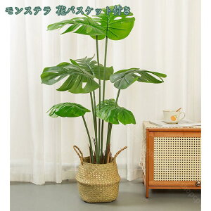 300~OFFN[| Xe lHϗtA ^ lHV̗t Xe tFCNϗtA ȒPb炸 sv A ItBX  tFCNO[  CeA O[ 