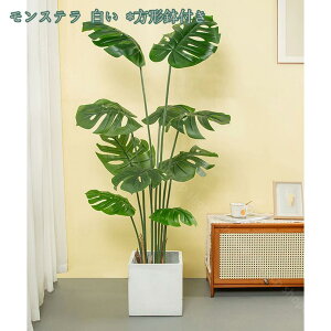 lHϗtA Xe tFCNO[ CeA b炸  sv ͂Ȃ lH tFCNA sv bsv Vzj ̓ ̓MtgՂ 