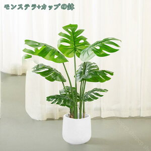 lHϗtA Xe tFCNO[ CeA b炸  sv ͂Ȃ lH tFCNA sv bsv Vzj ̓ ̓MtgՂ 