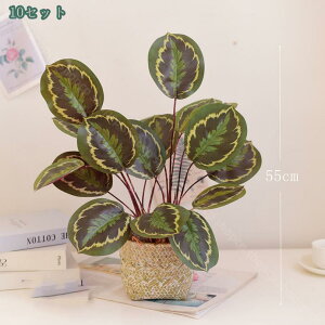 1000~OFFN[| Xe lHϗtA  CeA ^  킢 X GgX c ItBX  ze j JXj JƏj zj  