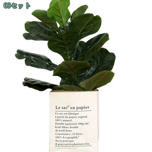 777~OFFN[| lHϗtA tFCNO[ CeA  ItBX rO  ΂̂炵 傫 ϗtA zj Vzj ȒP sv Iȑ 