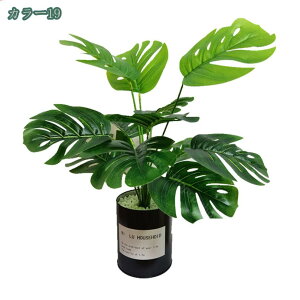 777~OFFN[| lHϗtA tFCNO[ CeA  ItBX rO  ΂̂炵 傫 ϗtA zj Vzj ȒP sv Iȑ 