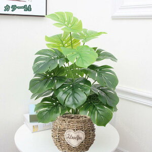 777~OFFN[| lHϗtA tFCNO[ CeA  ItBX rO  ΂̂炵 傫 ϗtA zj Vzj ȒP sv Iȑ 