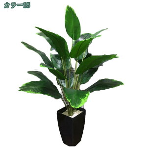 tFCNO[ lHϗA lHϗt tFCNϗtA ^ lHϗtA tFCNO[ ^ p  Vv ItBX  CeA ^ t  ϗtA V