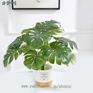 500~OFFN[| lHϗtA  Op Xe tFCJ K[f ϗtA ItBX tFCNO[  Vv k 킢AEghA  ϗtA  lHϗtA t