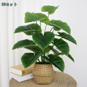 1000~OFFN[| lHϗtA st RŃA ^ CeA { _ k  ItBX  fBXvC IuWF u ze [ j JXj JƏj