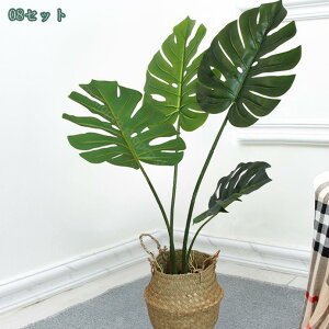 lHϗtA st RŃA ^ CeA { _ k  ItBX  fBXvC IuWF u ze [ j JXj JƏj o[[VF