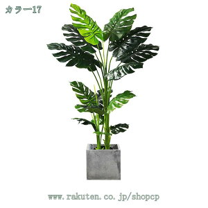 2000~OFFN[| tFCNO[ CeA ^  tFCNO[ Lb` rO _CjO Q lHϗtA v[g Mtg ~͐A sv lHϗtA 