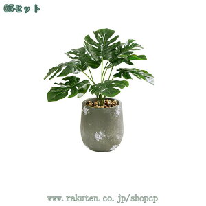 500~OFFN[| lHϗtA ^ _ k  RŃA st CeA { ItBX  fBXvC IuWF u ze [ j JXj JƏj