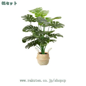 500~OFFN[| lHϗtA ^ _ k  RŃA st CeA { ItBX  fBXvC IuWF u ze [ j JXj JƏj