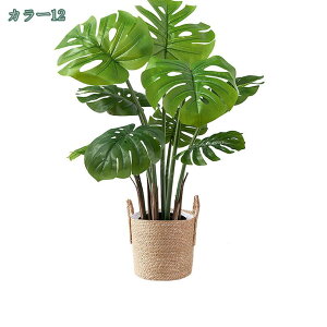 1000~OFFN[| lHϗtA tFCNO[ ϗtA  ^ CeA  gsJA j JX JƏj  A 픫 tFCNO[ ^ lHϗtA t