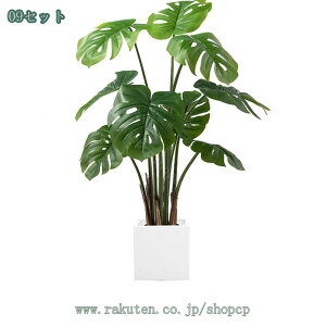 lHϗtA ^ _ k  RŃA st CeA { ItBX  fBXvC IuWF u ze [ j JXj JƏj o[[VF