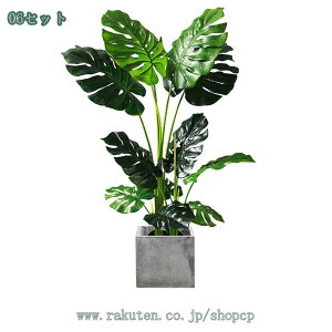 2000~OFFN[| ^ lHϗtA A ϗtA ډB CeA rO  p 邭u₩ tFCNO[ st gsJA Ύ lH lHϗtA JXj
