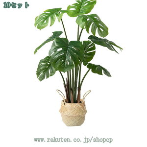 2000~OFFN[| ^ lHϗtA A ϗtA ډB CeA rO  p 邭u₩ tFCNO[ st gsJA Ύ lH lHϗtA JXj